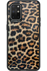 Leopard 2.0 - OnePlus 8T