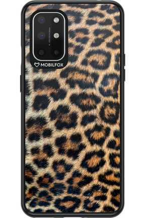 Leopard 2.0 - OnePlus 8T
