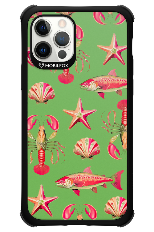 Sea Stars - Apple iPhone 12 Pro