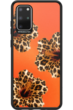 Sun Purr 2.0 - Samsung Galaxy S20+