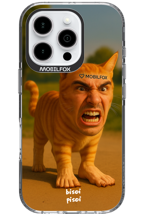 Bisoi Pisoi - Apple iPhone 16 Pro