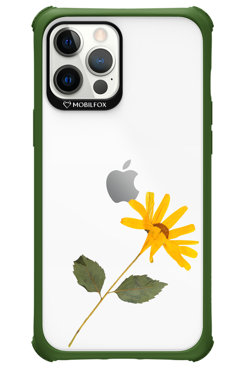 Pressed Flower - Apple iPhone 12 Pro Max