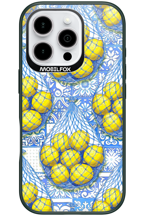 Net Style - Apple iPhone 16 Pro