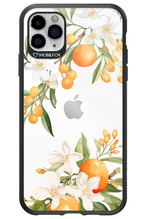Amalfi Orange 2.0 - Apple iPhone 11 Pro Max
