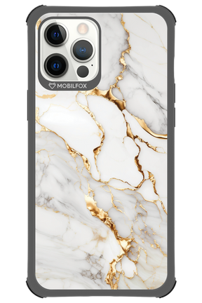 Ariel - Apple iPhone 12 Pro Max