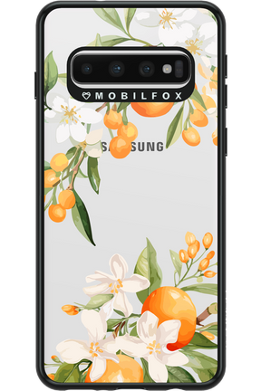 Amalfi Orange 2.0 - Samsung Galaxy S10