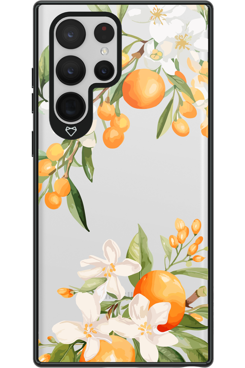 Amalfi Orange 2.0 - Samsung Galaxy S22 Ultra