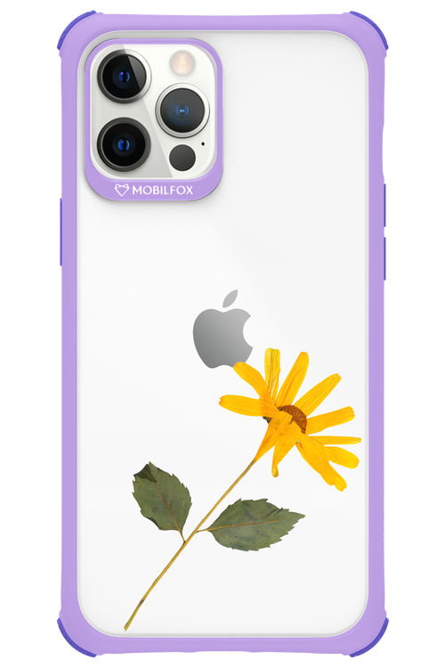 Pressed Flower - Apple iPhone 12 Pro Max