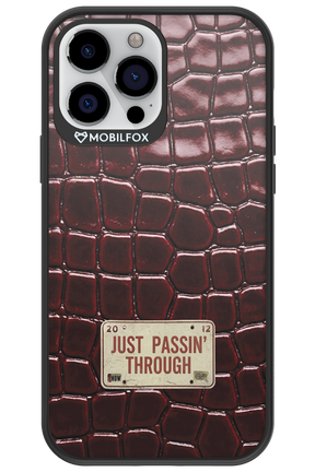 Just passin through 2.0 - Apple iPhone 13 Pro Max
