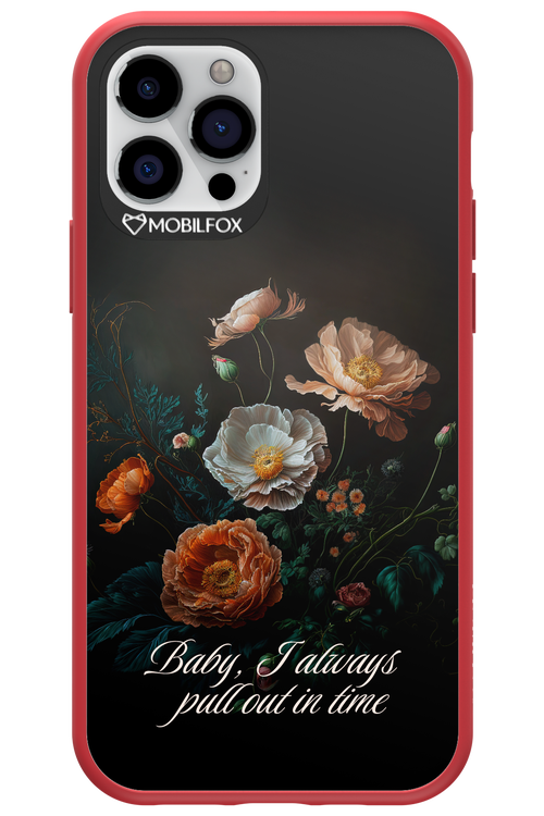 In time 2.0 - Apple iPhone 12 Pro