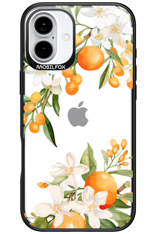 Amalfi Orange 2.0 - Apple iPhone 16 Plus