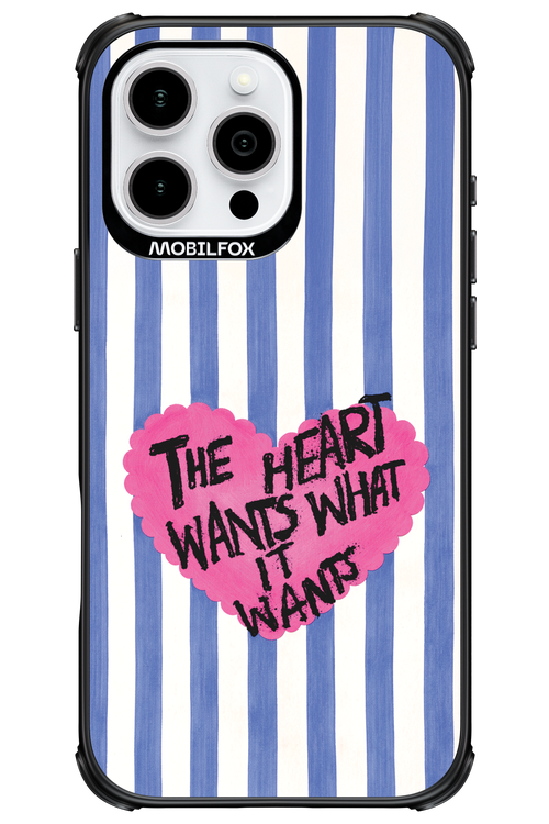 THWYW 2.0 - Apple iPhone 16 Pro Max