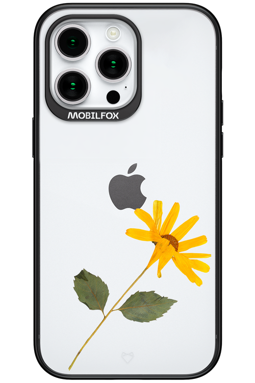 Pressed Flower - Apple iPhone 15 Pro Max
