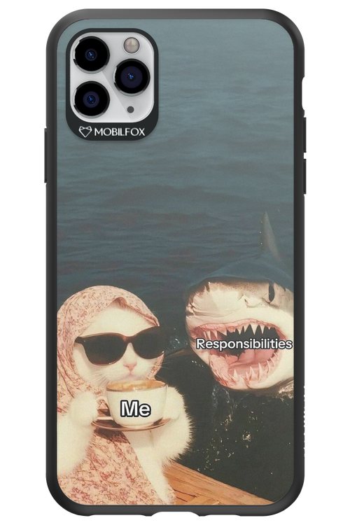 Responsibilities - Apple iPhone 11 Pro Max