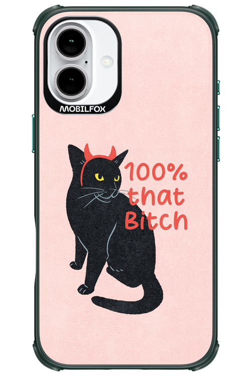 Hundred 2.0 - Apple iPhone 16 Plus