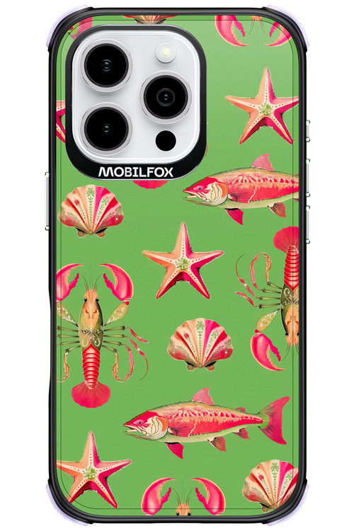 Sea Stars - Apple iPhone 16 Pro