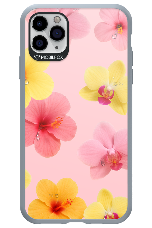 Sunset Flowers - Apple iPhone 11 Pro Max