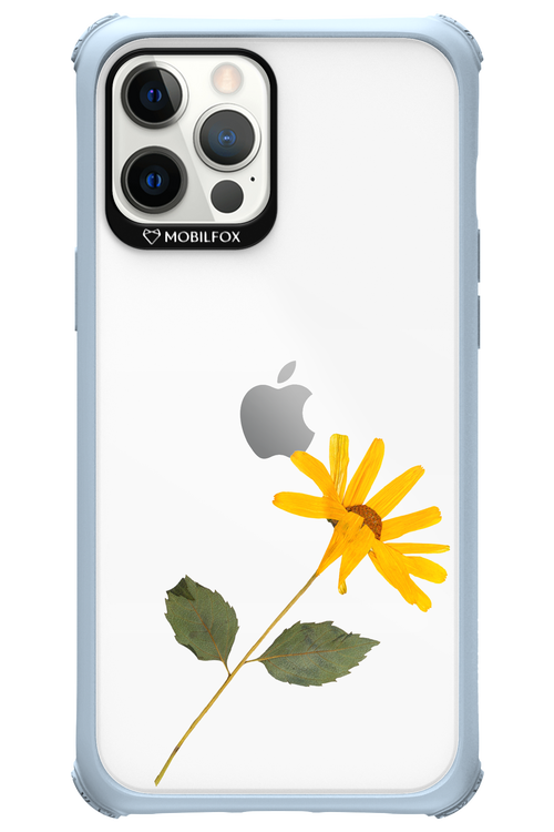 Pressed Flower - Apple iPhone 12 Pro Max
