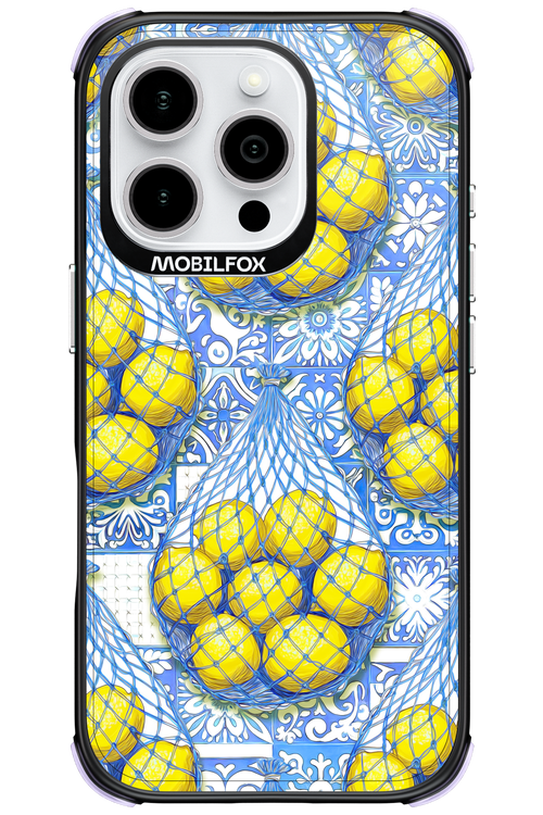 Net Style - Apple iPhone 16 Pro