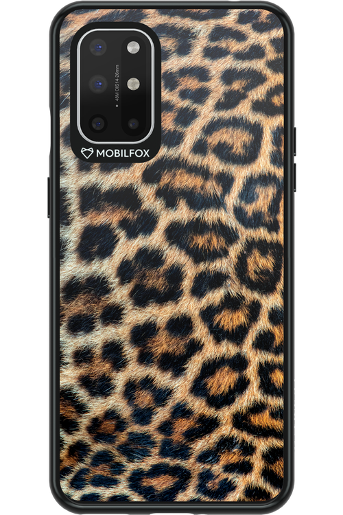 Leopard 2.0 - OnePlus 8T