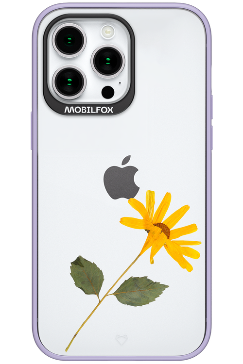 Pressed Flower - Apple iPhone 15 Pro Max