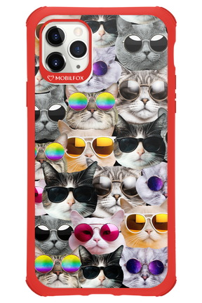 Cat World - Apple iPhone 11 Pro Max