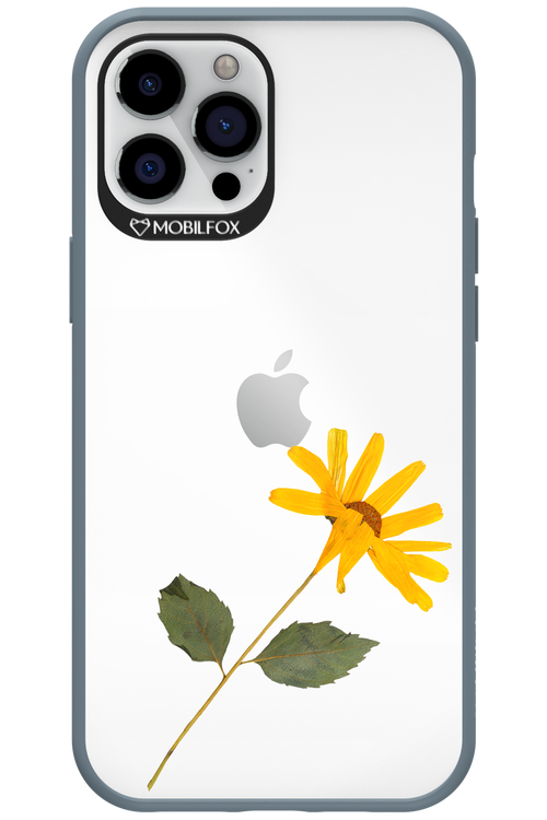Pressed Flower - Apple iPhone 12 Pro Max