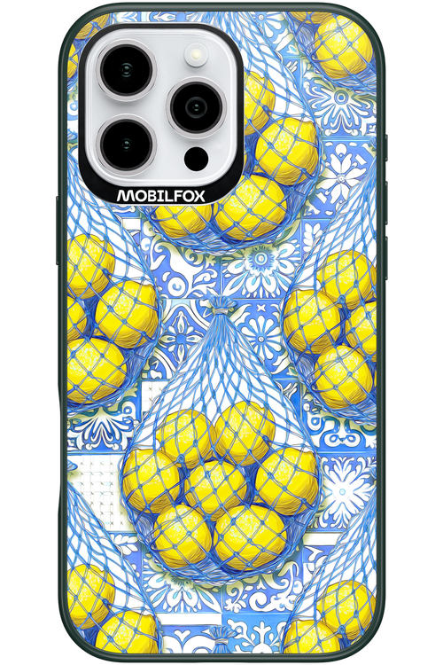 Net Style - Apple iPhone 16 Pro Max