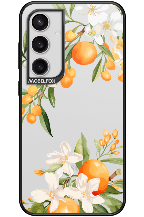Amalfi Orange 2.0 - Samsung Galaxy S24+