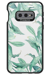 Greenpeace 2.0 - Samsung Galaxy S10e
