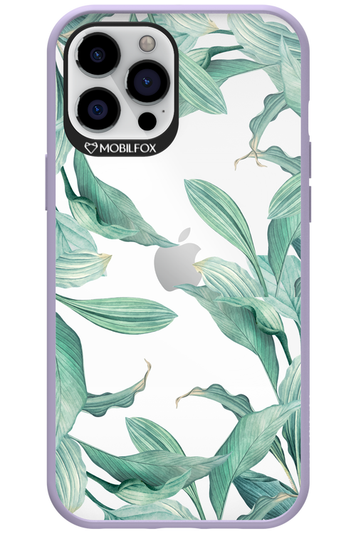 Greenpeace - Apple iPhone 12 Pro Max