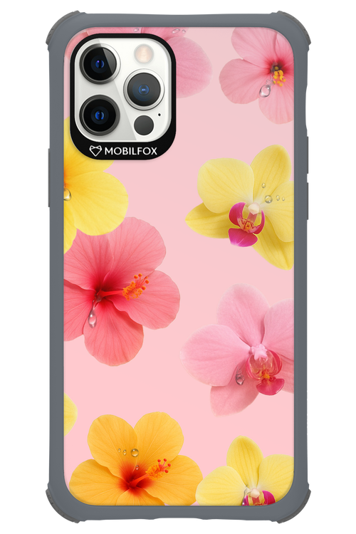Sunset Flowers - Apple iPhone 12 Pro