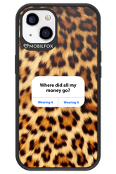 My Money 2.0 - Apple iPhone 13