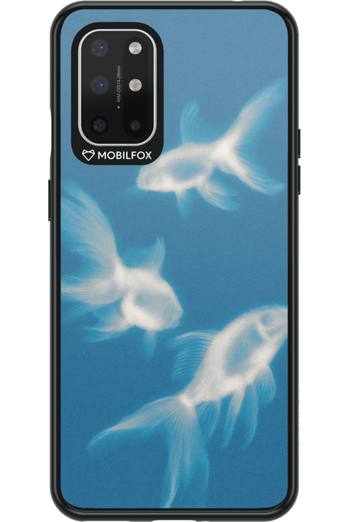 Lady of the Lake 2.0 - OnePlus 8T