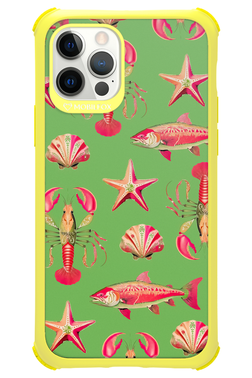 Sea Stars - Apple iPhone 12 Pro