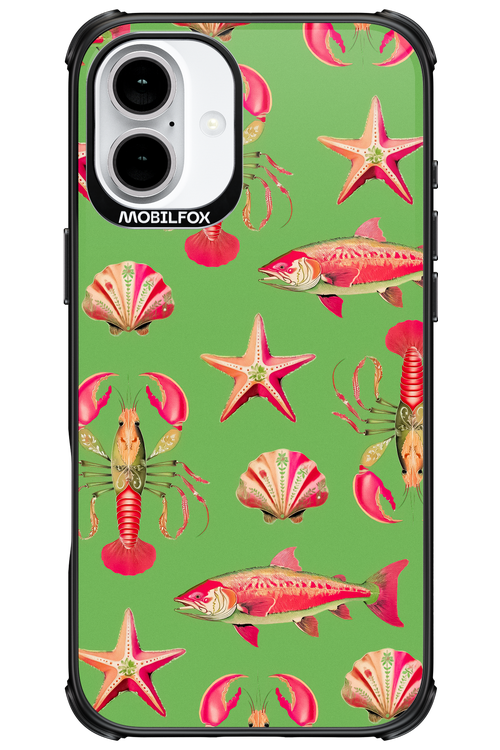 Sea Stars - Apple iPhone 16 Plus