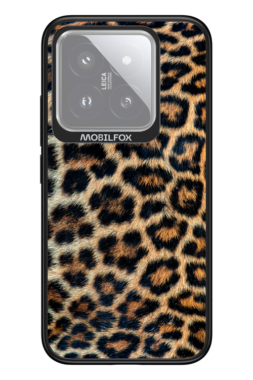 Leopard 2.0 - Xiaomi 14
