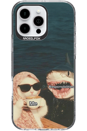 Responsibilities - Apple iPhone 16 Pro Max