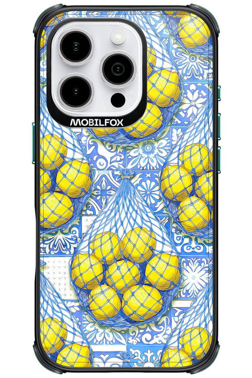 Net Style - Apple iPhone 16 Pro