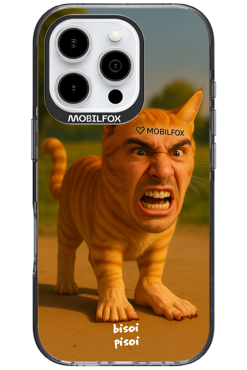 Bisoi Pisoi - Apple iPhone 16 Pro
