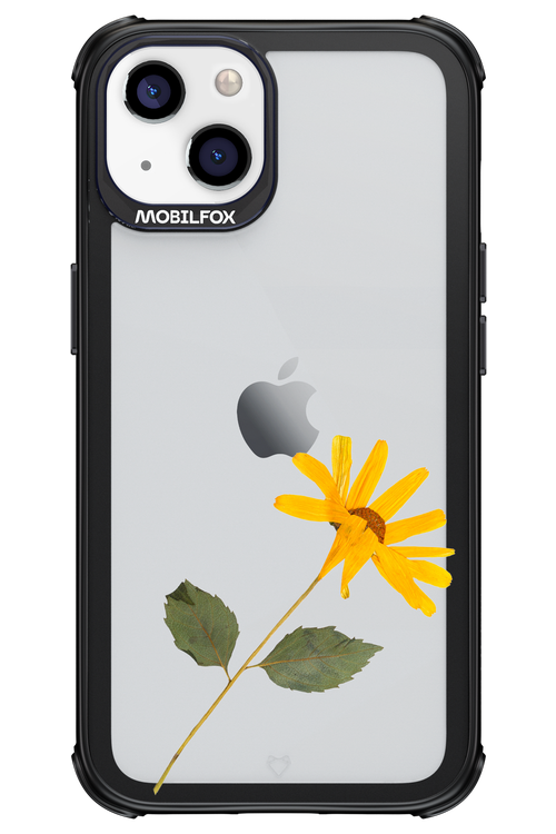 Pressed Flower - Apple iPhone 13