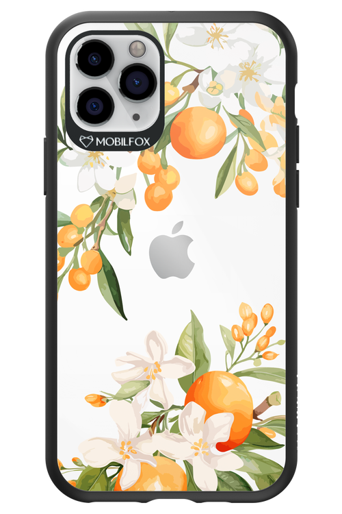 Amalfi Orange 2.0 - Apple iPhone 11 Pro
