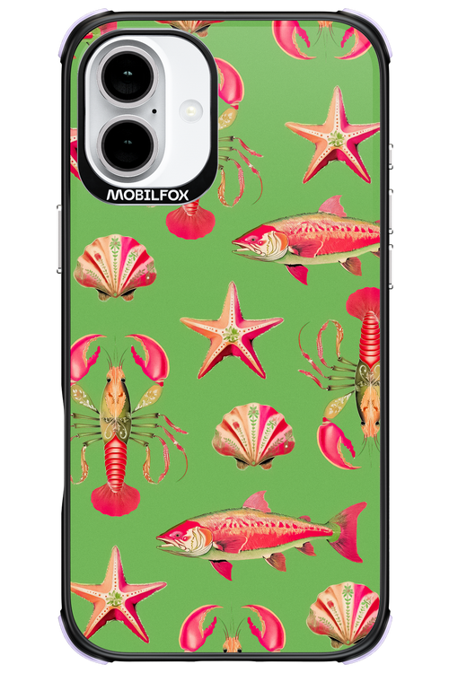 Sea Stars - Apple iPhone 16 Plus