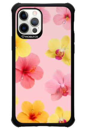 Sunset Flowers - Apple iPhone 12 Pro