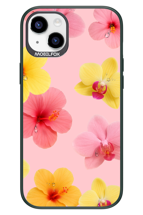 Sunset Flowers - Apple iPhone 14 Plus