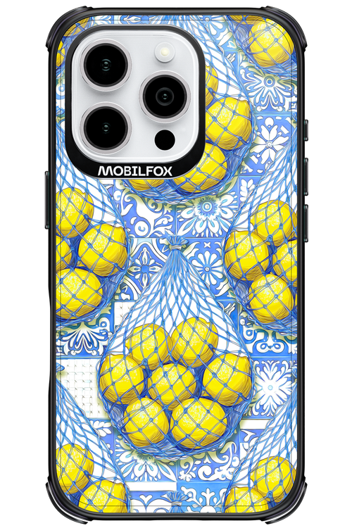 Net Style - Apple iPhone 16 Pro