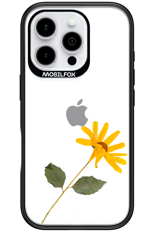 Pressed Flower - Apple iPhone 16 Pro