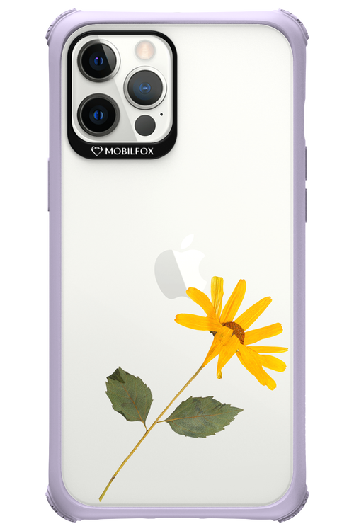 Pressed Flower - Apple iPhone 12 Pro Max