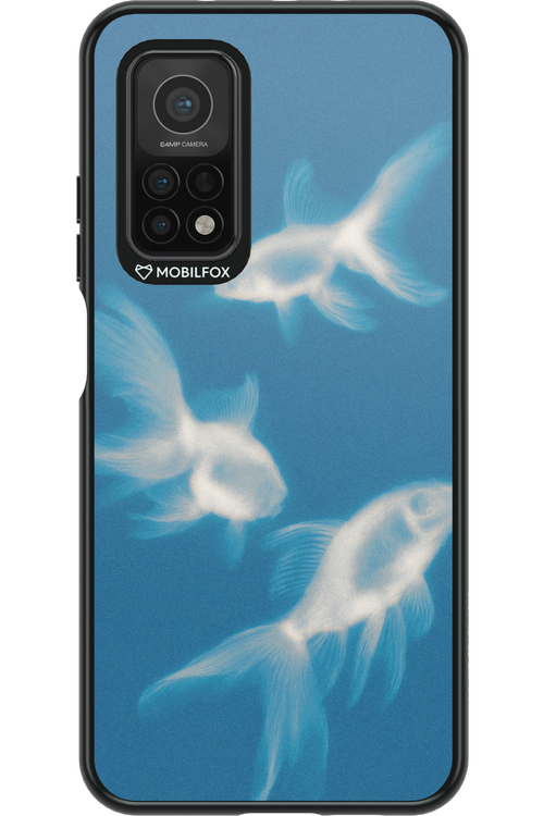 Lady of the Lake 2.0 - Xiaomi Mi 10T 5G