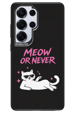 MEOW OR NEVER 2.0 - Samsung S25 Ultra